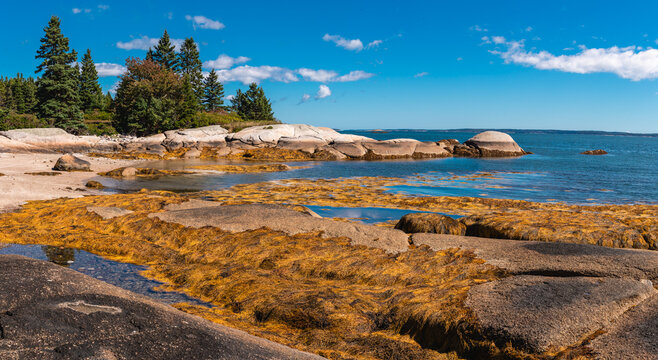 Large Coastal Rock Formations and Seaweed at Low Tide Deer Isle Maine