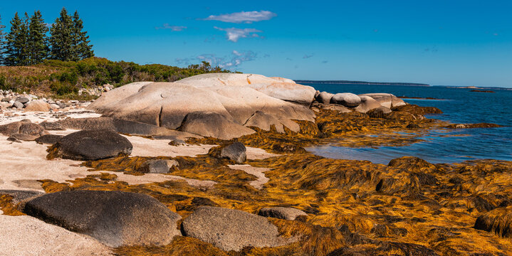 Large Coastal Rock Formations and Seaweed at Low Tide Deer Isle Maine