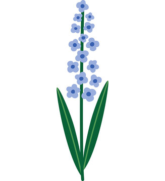 Hand Drawn Blue Hyacinth Lavender Floral Stem Vector Illustration Minimal Botanical Clipart for Card Design
