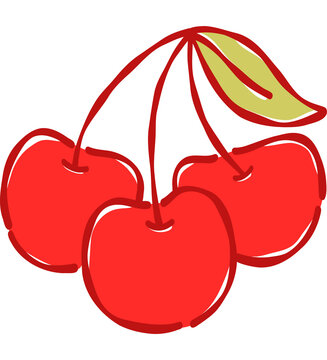 Hand Drawn Red Triple Cherry Cluster Vector Illustration Sweet Summer Fruit Clipart for Textile and Sticker Print