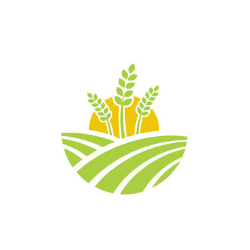 Wheat field with sun and rolling hills logo