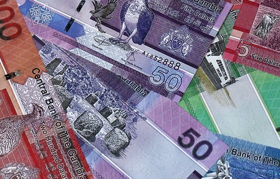 Gambian dalasi money bills in pile. Big amount of Gambia GMD currency cash close up