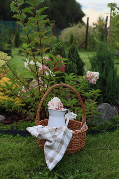 Wicker picnic basket with a light blue jug and fabric on a lush green lawn in a summer garden
