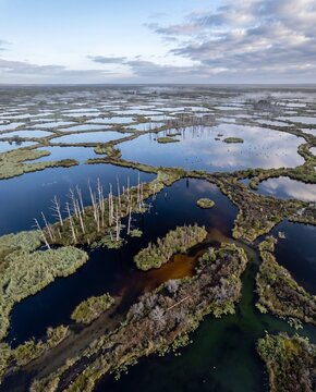 Aerial view of a vast wetland landscape with water and vegetation  