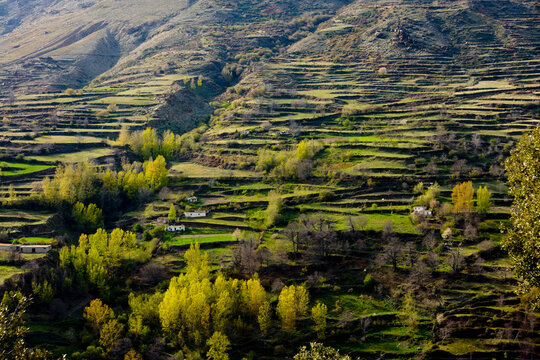 Europe, Spain, Andalucia, Sierra Nevada, spring time near Trevelez