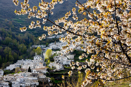 Europe, Spain, Andalucia, Sierra Nevada, Trevelez spring