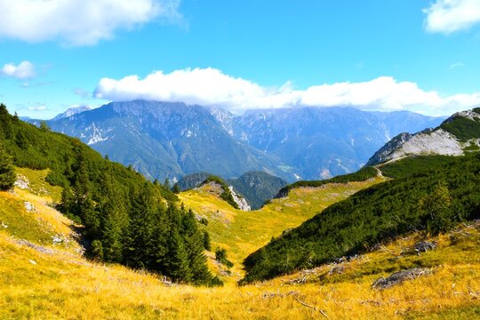 Dry grass yellow pasture and a view of cloud covered peaks of Grintovec in Gorenjska, Slovenia