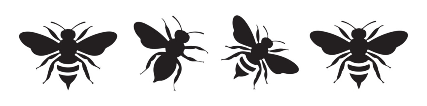 Collection of bee shapes and silhouettes for nature design projects and organic branding elements.