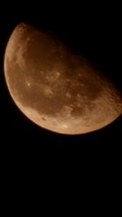full moon in the night © oswaldo