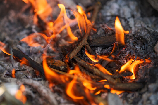 Close-up view of a warm, crackling campfire with bright orange flames consuming small wooden twigs and grey ash.