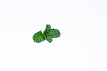 Mint leaves isolated on white background for herbal medicine and tea ingredient. Organic Mint leaves peppermint isolated on white background for traditional herbal remedy © Semoga