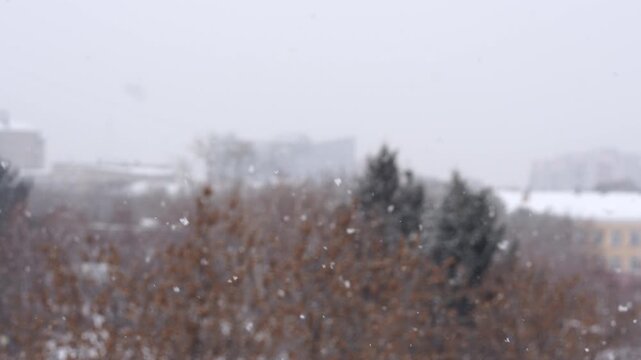 Blagoveshchensk city in the winter. Snow‑covered cityscape with falling snow, bare trees, and buildings softened by winter atmosphere