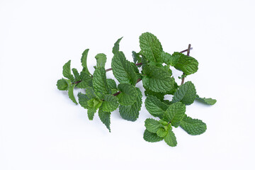 Mint leaves isolated on white background for herbal medicine and tea ingredient. Organic Mint leaves peppermint isolated on white background for traditional herbal remedy © Semoga