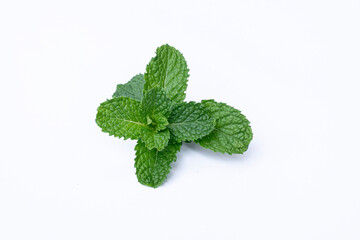 Mint leaves isolated on white background for herbal medicine and tea ingredient. Organic Mint leaves peppermint isolated on white background for traditional herbal remedy © Semoga