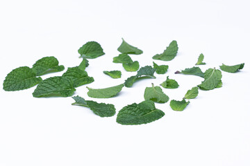 Mint leaves isolated on white background for herbal medicine and tea ingredient. Organic Mint leaves peppermint isolated on white background for traditional herbal remedy © Semoga