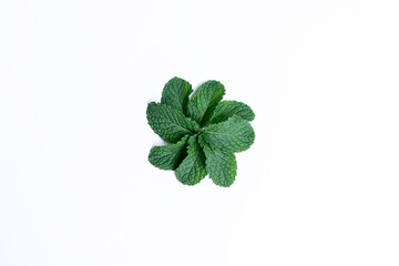 Mint leaves isolated on white background for herbal medicine and tea ingredient. Organic Mint leaves peppermint isolated on white background for traditional herbal remedy © Semoga