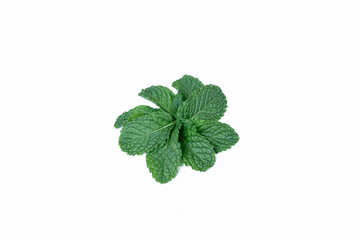Mint leaves isolated on white background for herbal medicine and tea ingredient. Organic Mint leaves peppermint isolated on white background for traditional herbal remedy © Semoga