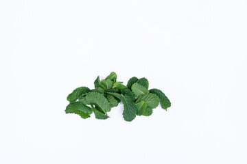Mint leaves isolated on white background for herbal medicine and tea ingredient. Organic Mint leaves peppermint isolated on white background for traditional herbal remedy © Semoga