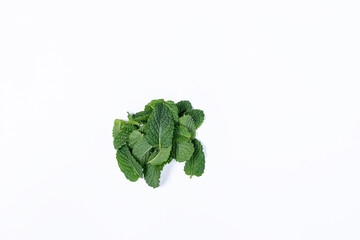 Mint leaves isolated on white background for herbal medicine and tea ingredient. Organic Mint leaves peppermint isolated on white background for traditional herbal remedy © Semoga