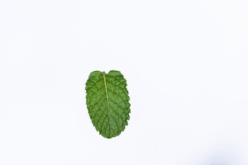 Mint leaves isolated on white background for herbal medicine and tea ingredient. Organic Mint leaves peppermint isolated on white background for traditional herbal remedy © Semoga