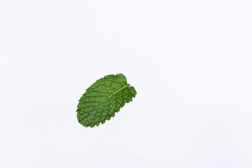 Mint leaves isolated on white background for herbal medicine and tea ingredient. Organic Mint leaves peppermint isolated on white background for traditional herbal remedy © Semoga