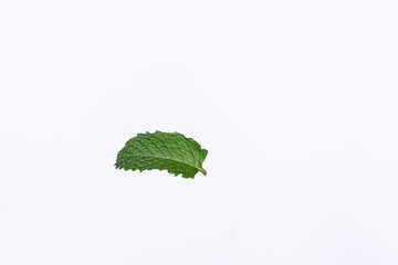 Mint leaves isolated on white background for herbal medicine and tea ingredient. Organic Mint leaves peppermint isolated on white background for traditional herbal remedy © Semoga