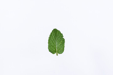 Mint leaves isolated on white background for herbal medicine and tea ingredient. Organic Mint leaves peppermint isolated on white background for traditional herbal remedy © Semoga