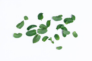 Mint leaves isolated on white background for herbal medicine and tea ingredient. Organic Mint leaves peppermint isolated on white background for traditional herbal remedy © Semoga