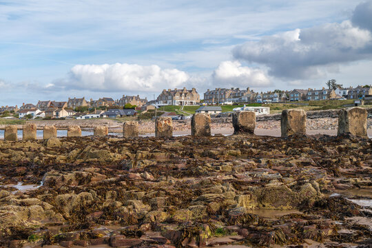 Concrete anti-tank blocks remaining on the beach at Lossiemouth in Moray Scotland serve as a lasting historical reminder of coastal defense in WWII
