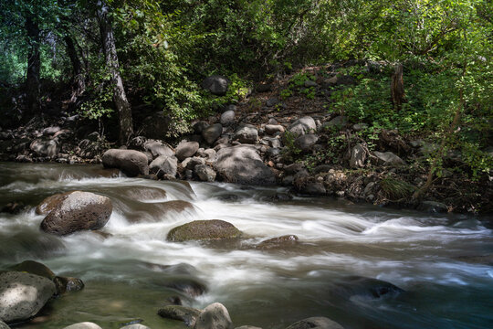 Flowing River at Grsshoper Point, Oak Creek Canyon, AZ