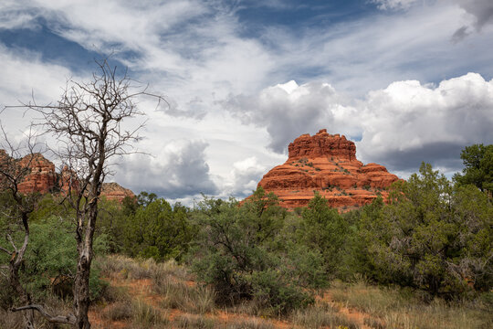 Red Rocks, Sedona, AZ