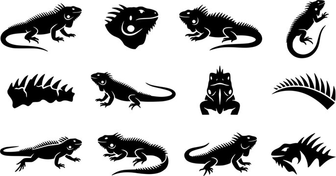Iguana & Spiky Ridge Silhouette Icon Set. Collection of nature & wildlife silhouettes, including iguana & spiky ridge, detailed reptile and amphibian shapes, and more.