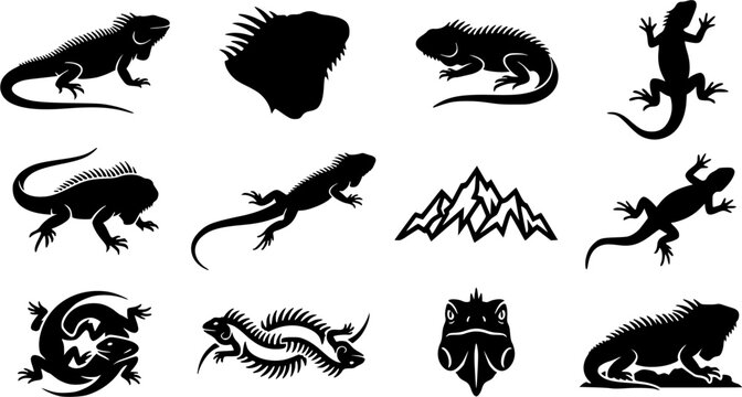Iguana & Spiky Ridge Silhouette Icon Set. Collection of nature & wildlife silhouettes, including iguana & spiky ridge, detailed reptile and amphibian shapes, and more.