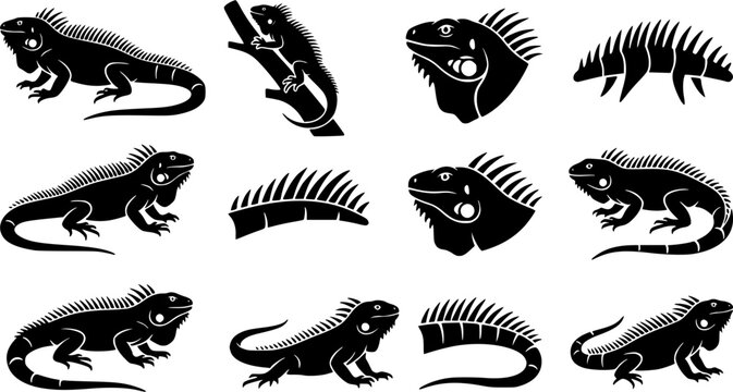 Iguana & Spiky Ridge Silhouette Icon Set. Collection of nature & wildlife silhouettes, including iguana & spiky ridge, detailed reptile and amphibian shapes, and more.