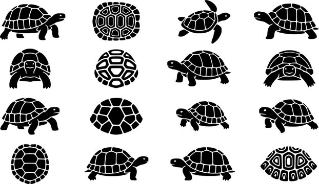 Tortoise & Shell Pattern Silhouette Icon Set. Collection of nature & wildlife silhouettes, including tortoise & shell pattern, detailed reptile and amphibian shapes, and more.