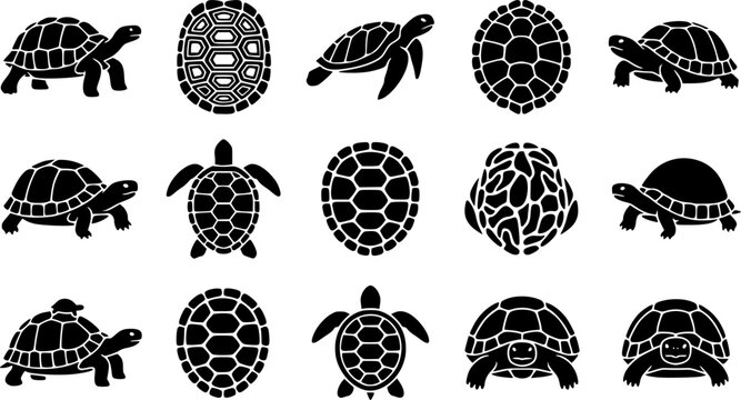 Tortoise & Shell Pattern Silhouette Icon Set. Collection of nature & wildlife silhouettes, including tortoise & shell pattern, detailed reptile and amphibian shapes, and more.