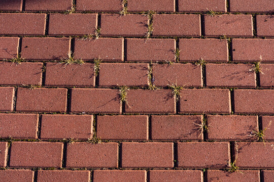 Red brick paving with grass growing in the cracks