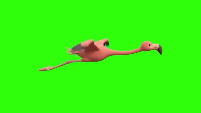 A cute 3D animated pink flamingo bird flying with extended neck and legs on a chroma key green background. Great for tropical vacation promos, summer beach ads, exotic wildlife content, trendy pink ae