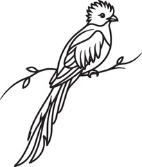 Obraz premium Minimalist line art illustration of a full body quetzal perched
