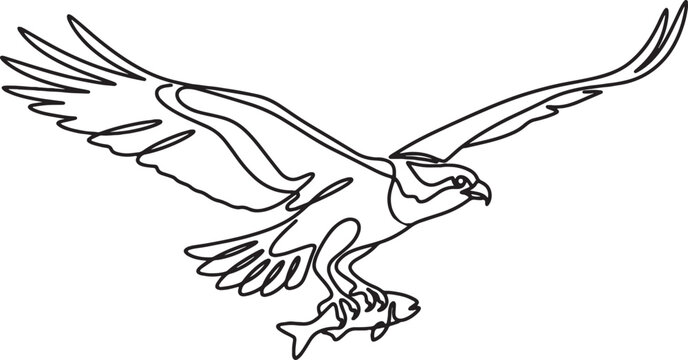 Minimalist line art illustration of a full body osprey flying