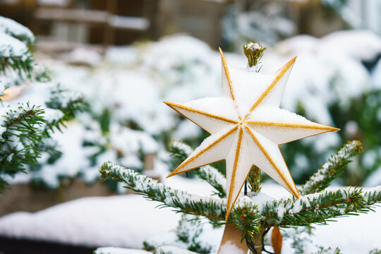 White and gold star Christmas tree ornament covered with fresh snow on a fir branch, creating festive winter scene with snowy branches and soft natural ourtside background. Holiday mood, aesthetic