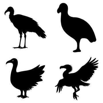 Water Bird and Wild Bird Silhouette Collection, Black Wildlife Vector Illustration