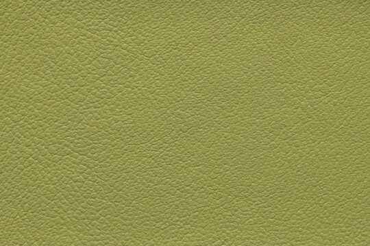 Green pebbled leather texture background surface