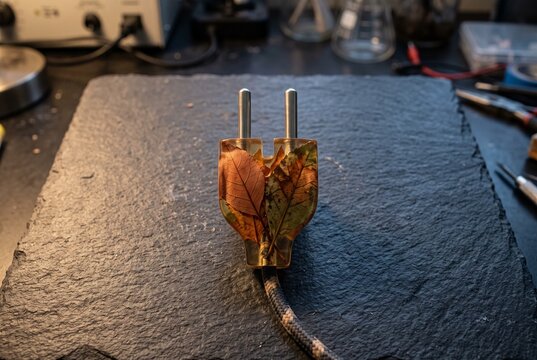 Creative Eco Electrical Plug Made of Clear Resin with Preserved Autumn Leaves on Slate Surface Symbolizing Green Power
