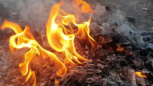 Close-up of dry autumn leaves burning in an outdoor bonfire, creating bright orange flames, dark charcoal ashes, and smoke.
