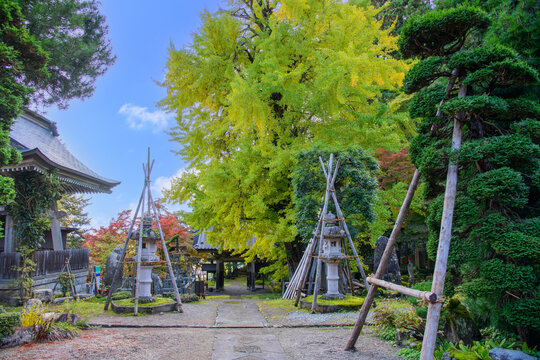 山形県南陽市 珍蔵寺(ちんぞうじ)　秋
