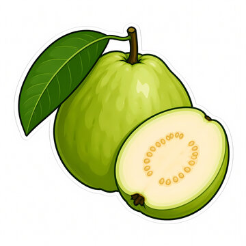 Vector Illustration of Fresh Green Guava Fruit with a Whole Piece, a Leaf, and a Half-Cut Slice Showing Seeds Isolated on White Background, Ideal for Healthy Eating and Food Design