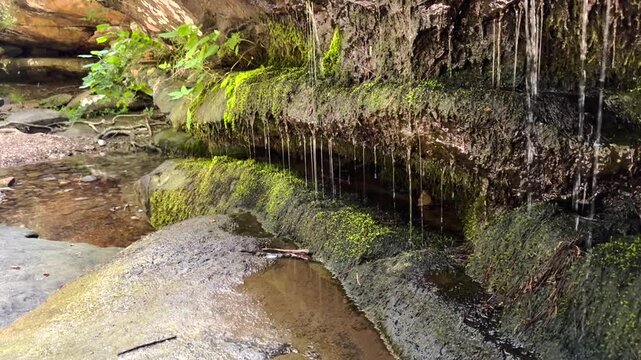 Water trickling over wet sandstone bluffs and mossy rocks at Burden Falls Wilderness in Shawnee National Forest, highlighting delicate water drops and peaceful woodland scenery.