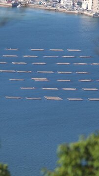 Oyster raft farming in Hiroshima Bay, Seto Inland Sea, Japan, aerial view of aquaculture rafts on water, Miyajima Island, Hiroshima Prefecture, Chugoku, seafood industry, rows of rafts. shellfish farm