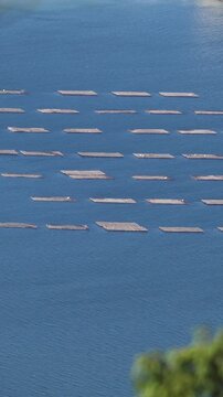 Oyster raft farming in Hiroshima Bay, Seto Inland Sea, Japan, aerial view of aquaculture rafts on water, Miyajima Island, Hiroshima Prefecture, Chugoku, seafood industry, rows of rafts. shellfish farm